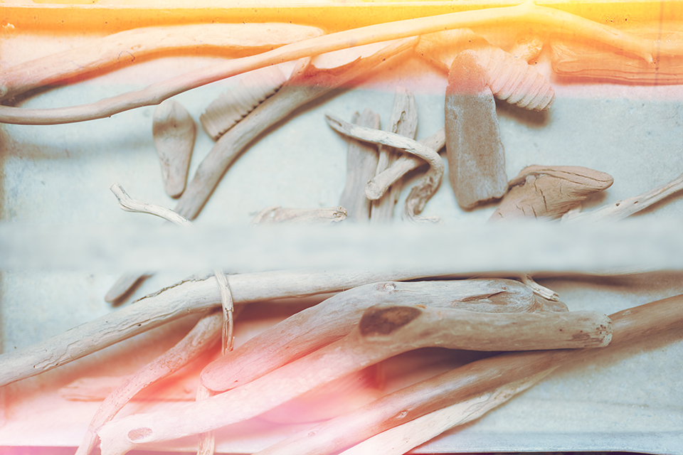 Light leak | YANUK ONLINE STORE