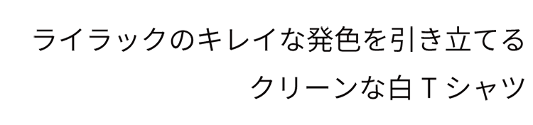 ライラックのきれいな